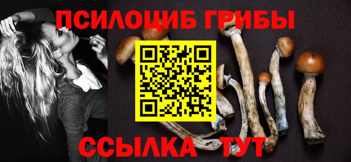 Архангельск  купить   Вход с VPN  Галлюциногенные грибы GOLDEN TEACHER 