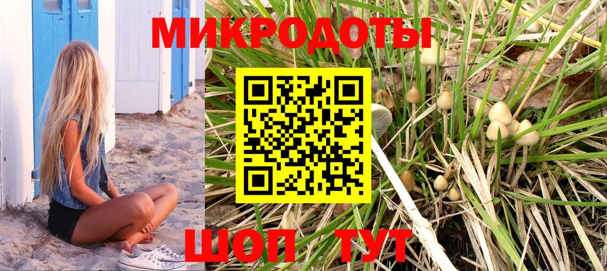 Галлюциногенные грибы мухоморы Архангельск