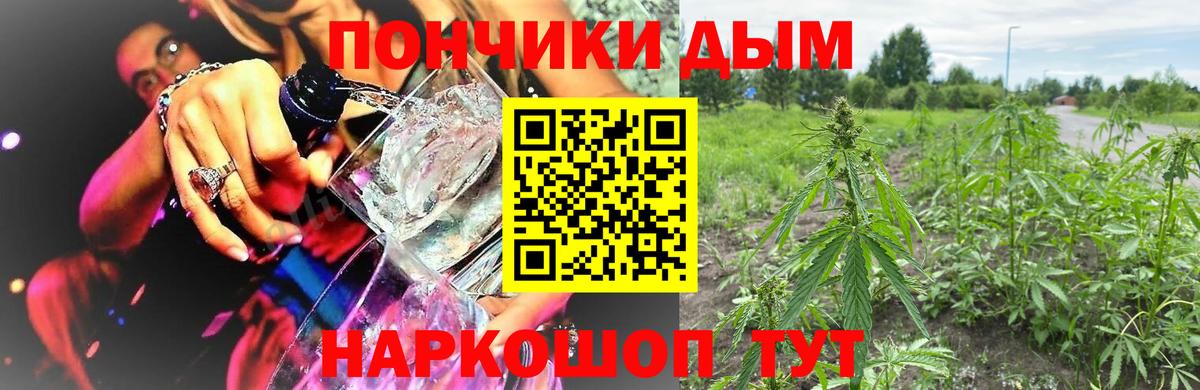 Codein Архангельск